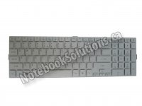 Acer original keyboard (US English, silver) - KB.I170A.200